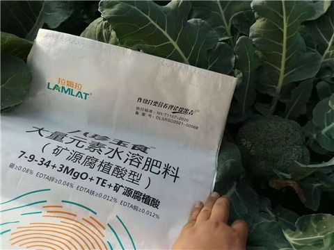 大量元素水溶肥选这样，让作物吃饱还吃好，增产提质两不误